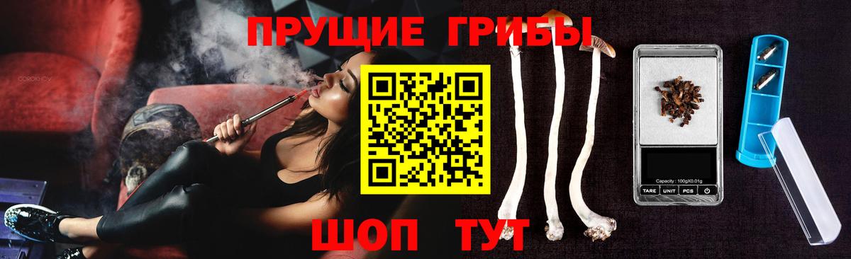 Галлюциногенные грибы прущие грибы  Артёмовский  где продают   Псилоцибиновые грибы Psilocybine cubensis 